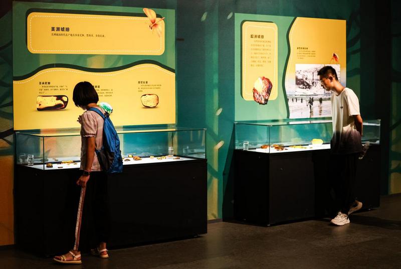 Музей Хэбэя представляет уникальную экспозицию янтаря